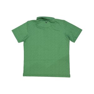 Alternative view of CAL-01-XL