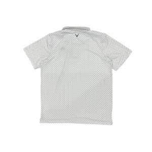 Alternative view of CAL-06-XL