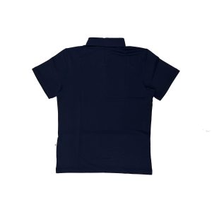 Alternative view of DES-01-L