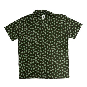 Alternative view of FJ-04-L