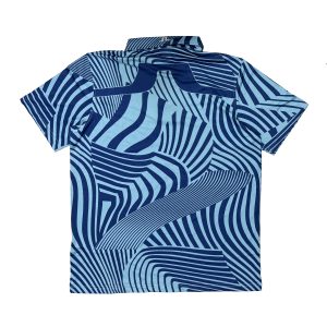 Alternative view of JLI-05-L