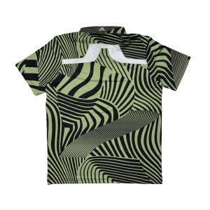 Alternative view of JLI-08-L