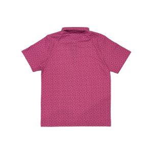 Alternative view of LAC-01-L